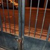 dia 24 de Setembro de 2025 1.25